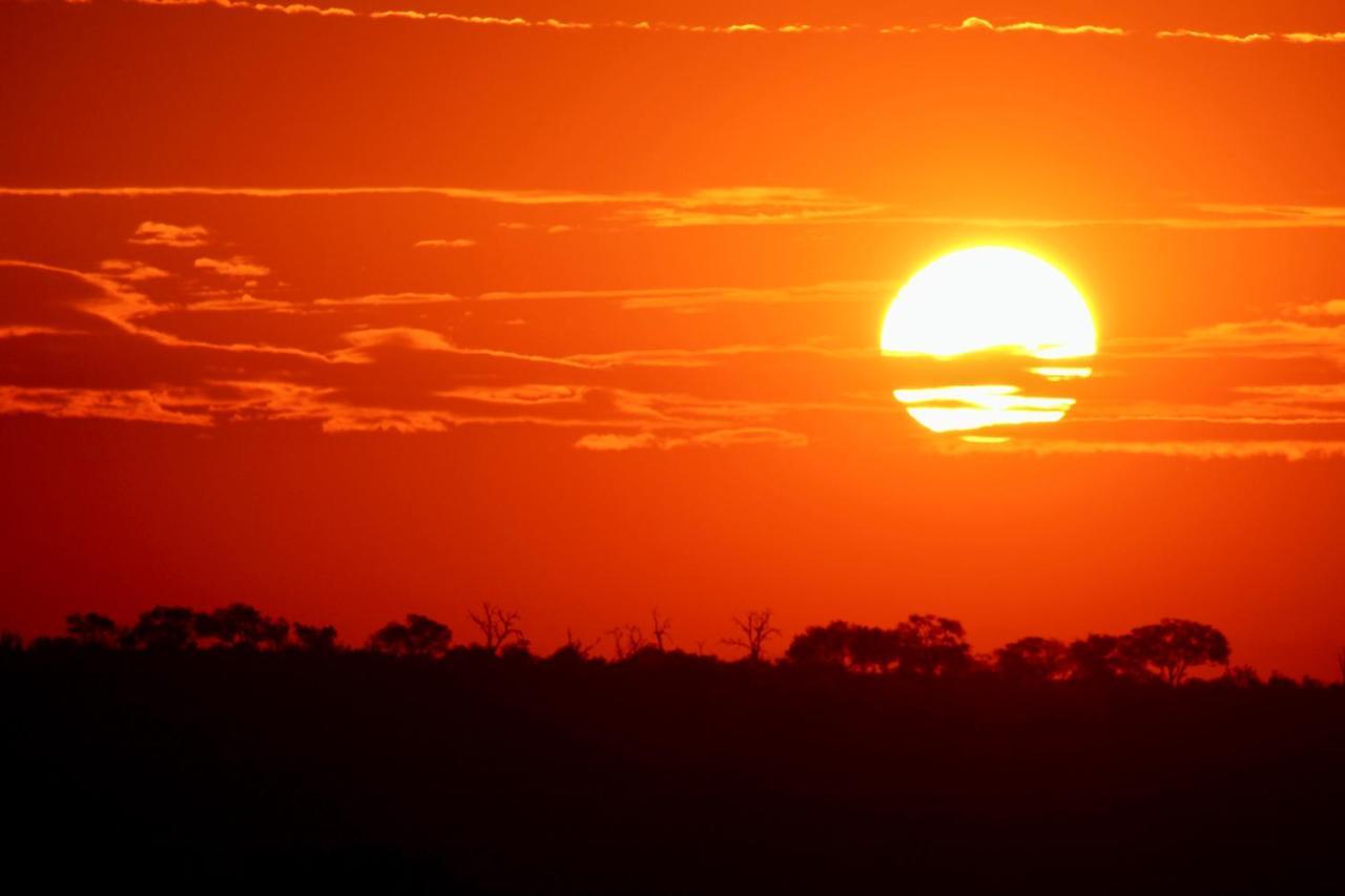 Jackals Dream - Self Catering Villa Bordering Kruger National Park マールロス・パーク エクステリア 写真