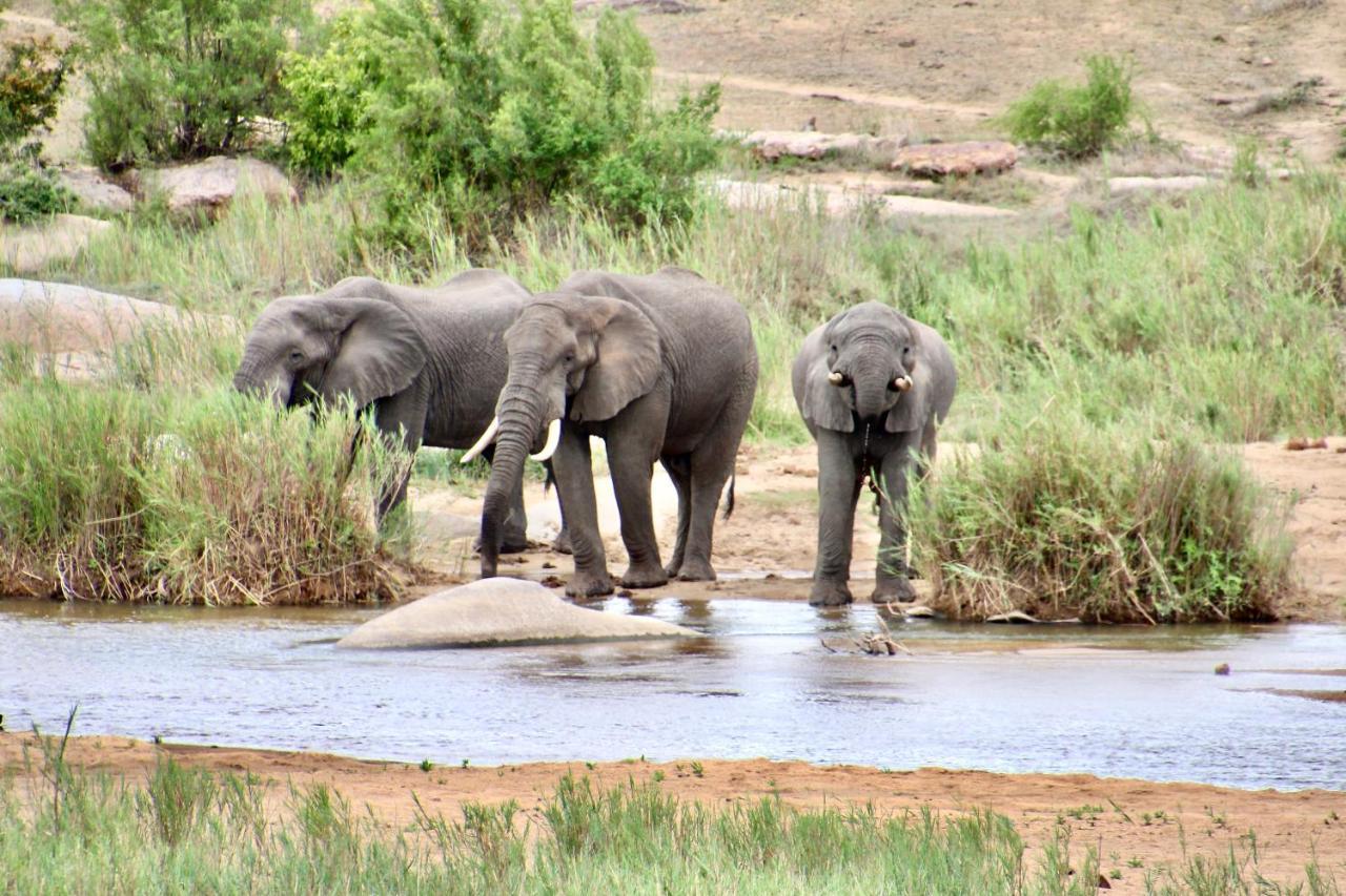 Jackals Dream - Self Catering Villa Bordering Kruger National Park マールロス・パーク エクステリア 写真
